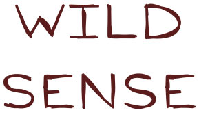 Wild Sense Therapy for animals Suffolk Norfolk